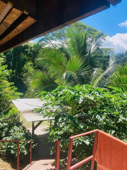 Apartamento Ohana Location Ravissant Appart Spacieux Parking Gratuit A Uturoa Exterior foto